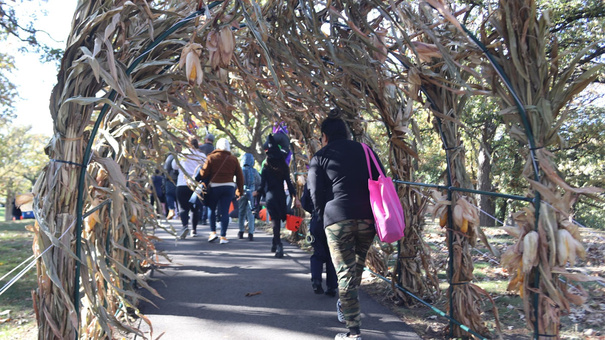 Trick or Treat Trail at Round Lake Area Park District